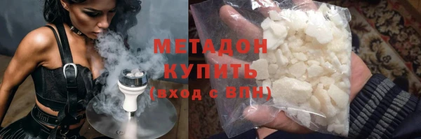 индика Алзамай