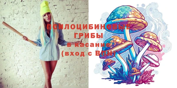 индика Алзамай