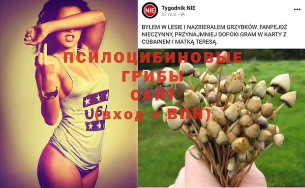 индика Алзамай