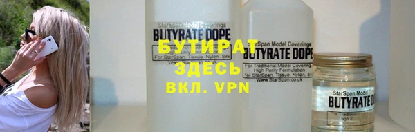 индика Алзамай