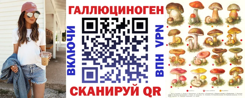 цены   Кольчугино  omg как войти  Галлюциногенные грибы MAGIC MUSHROOMS 