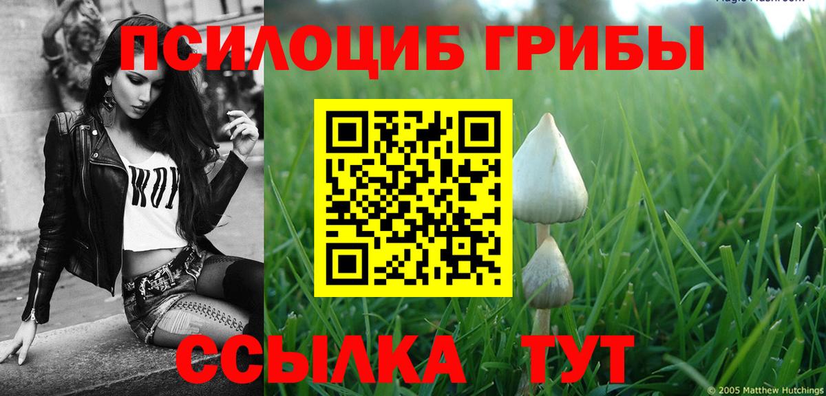 Героин Кольчугино