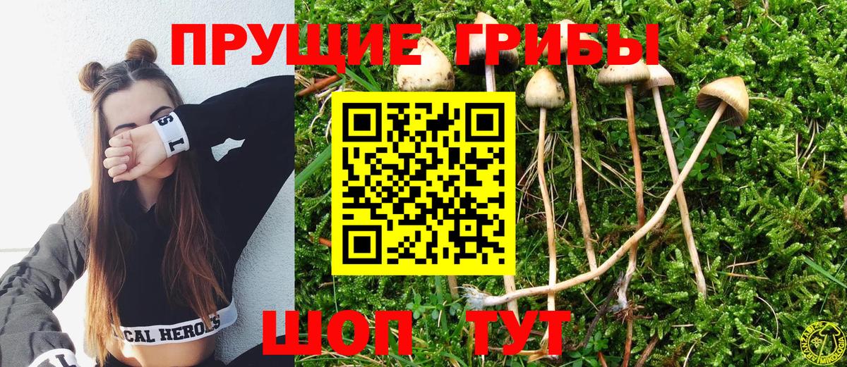 Галлюциногенные грибы Magic Shrooms Кольчугино