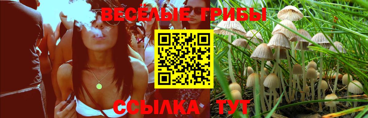 Псилоцибиновые грибы MAGIC MUSHROOMS  Вход с VPN  Кольчугино  Галлюциногенные грибы ЛСД 